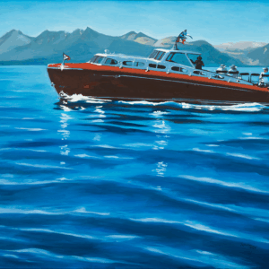 Flight of the Thunderbird