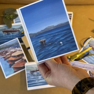 C8AFCBAA-FF9B-4670-B070-90B02C0A7A73_1_105_c