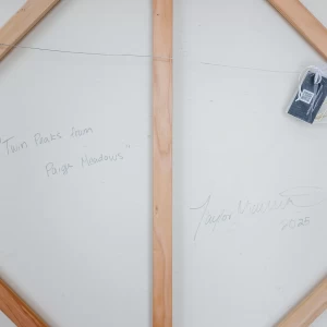 TaylorPaintings2025-36