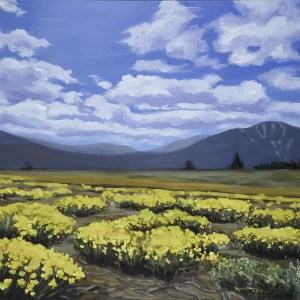Buckwheat Field in Martis Valley