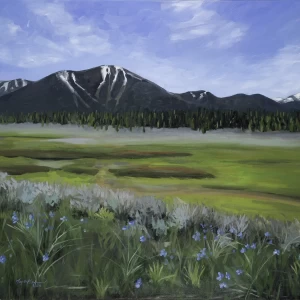 Northstar from Martis Valley